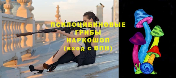 mdpv Богданович