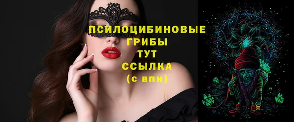 mdpv Богданович