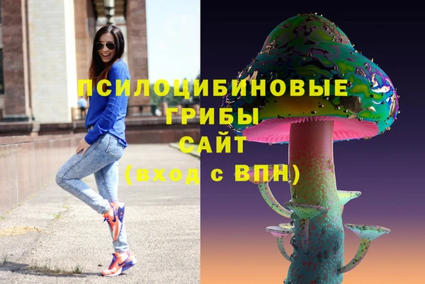 apvp Богородицк