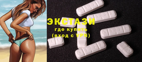ECSTASY Богородск