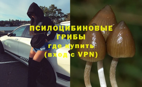 ECSTASY Богородск