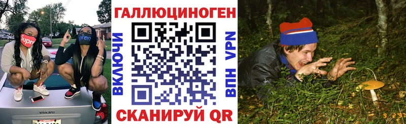blacksprut маркетплейс  Тогучин  Псилоцибиновые грибы Psilocybine cubensis  сколько стоит 